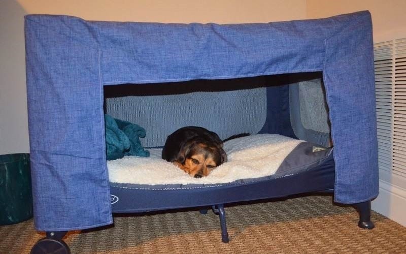 Old Pack N Play Pet Bed