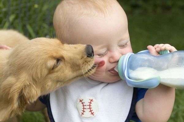 What are the benefits of my dog licking baby oil