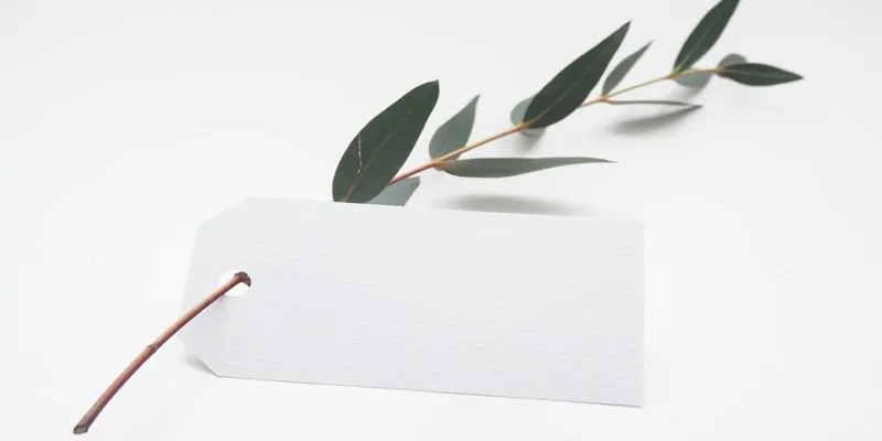Minimalism's Role in Contemporary Couple Celebrations