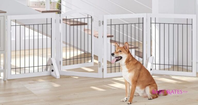 Best Baby Gates With Pet Door