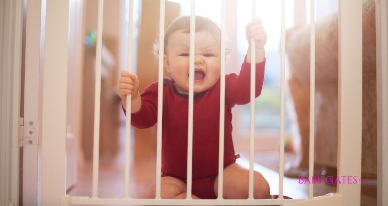 Best Retractable Baby Gates