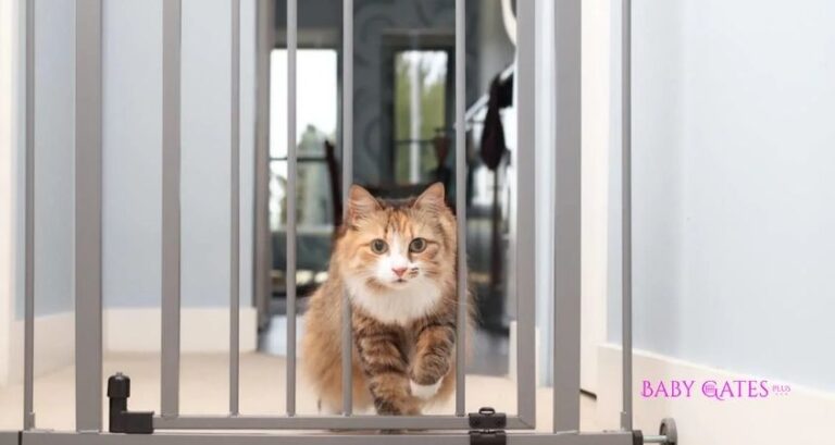 Can Cats Jump Over Baby Gates