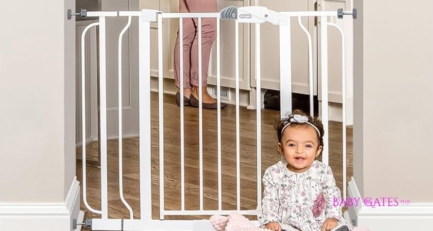 Regalo Safety 29-49 Easy Step Baby Gate Review
