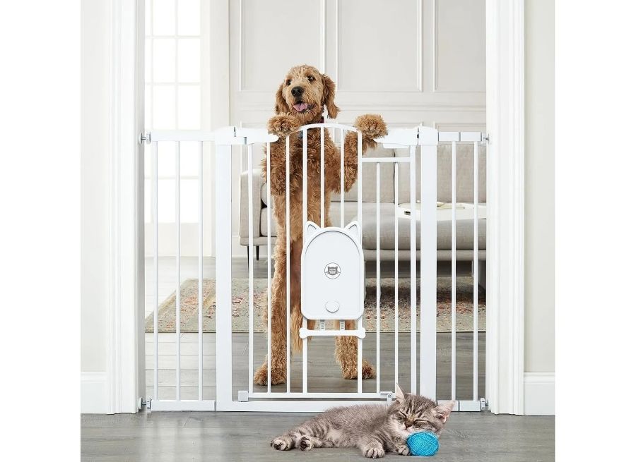 baby gates for pets and babies in the same home